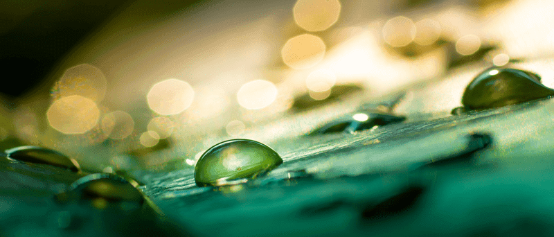 2026 Multi-Asset Outlook: Back to Micro