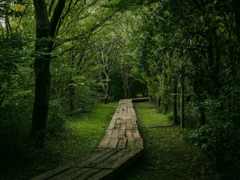 2026 Investment Grade Credit Outlook: A Turning Point in a Familiar Market?