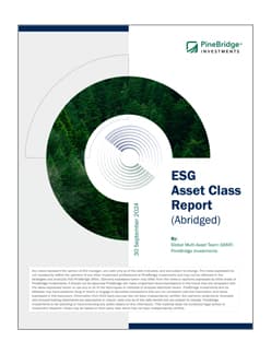 Multi Asset ESG Report 1H24