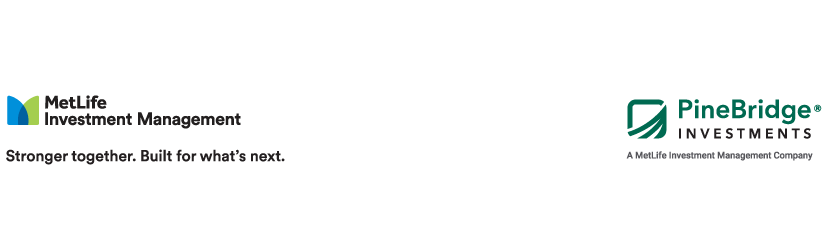 PB_MIM-logos-insight-footer