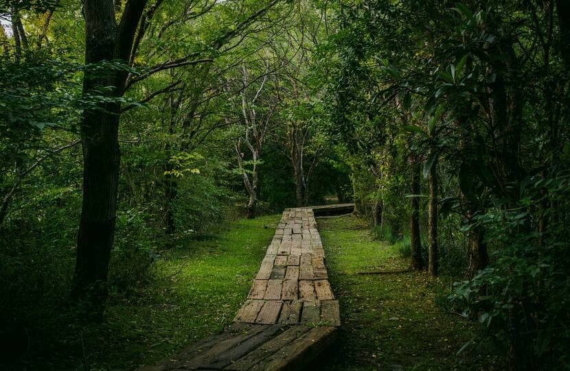 IO 26 Investment grade 2026 Investment Grade Credit Outlook: A Turning Point in a Familiar Market?