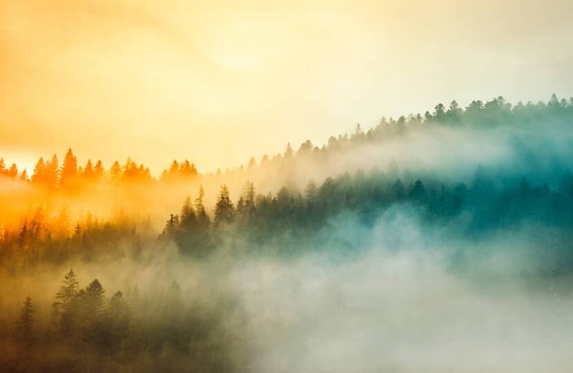 Investing Amid Peak Uncertainty: A Cross-Asset-Class View