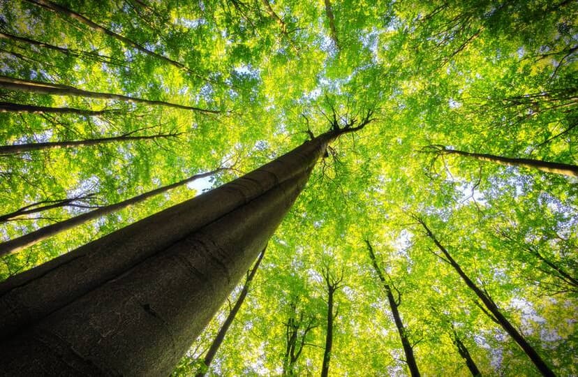 2026 Asia Fixed Income Outlook: Tested Again. Resilient Again.