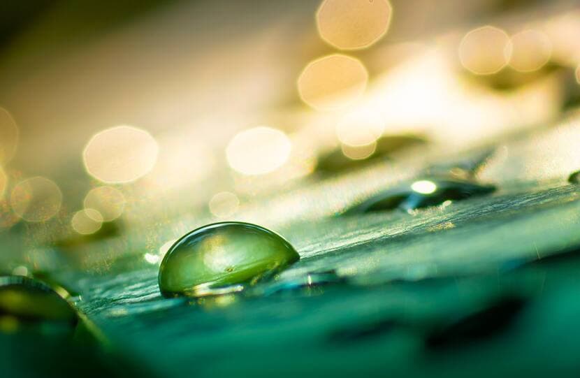 Multi Asset IO 26 image 2026 Multi-Asset Outlook: Back to Micro