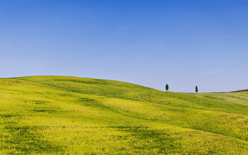 Leveraged Finance Asset Allocation Insights: Watching for Dips