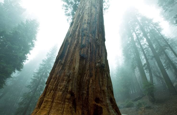 2023Midyear_PrivateCredit 2023 Midyear Private Credit Direct Lending Outlook: Durability to Weather Challenges